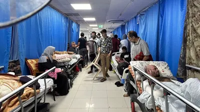 most patients  staff have evacuated gaza s shifa hospital  director