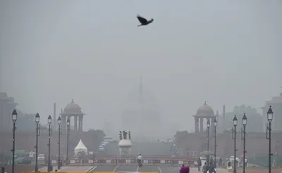 fog causes visibilty woes in delhi  flights may get affected  imd predicts light rain
