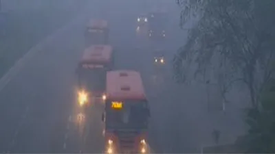 north india shivers as mercury dips  fog reduces visibility in delhi