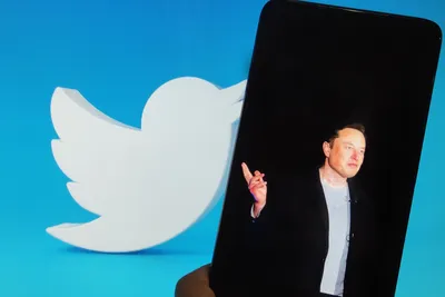 elon musk marks tiktok as  extremely destructive  after finding ill effects via research