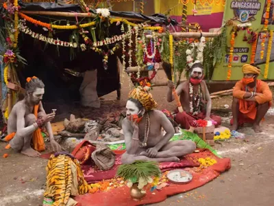 devotees  naga sadhus gather to take holy dip during gangasagar mela