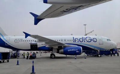 indigo announces removal of fuel charge on domestic and international routes