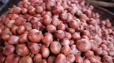 india lifts ban on onion exports after robust production