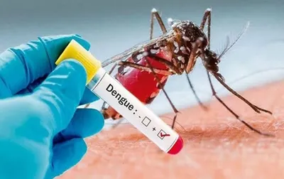 bangladesh dengue outbreak  death toll crosses 1000