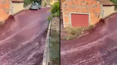 river of red wine flows through portuguese town after distillery accident
