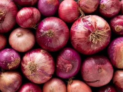 india allows onion export to sri lanka  gives additional quota to uae