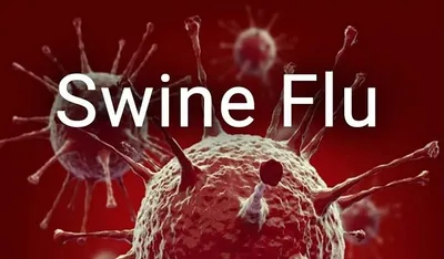 rajasthan  17 active cases of swine flu reported in jaipur  leptospirosis affects 10 districts in state