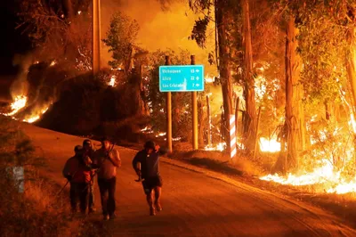 death toll in chile wildfires rises to 99