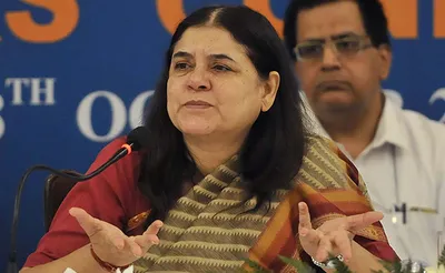 it s about what party decides   bjp s maneka gandhi over ticket denial to varun