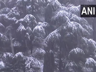 imd predicts more rain  snowfall during next 48 hours in himachal pradesh