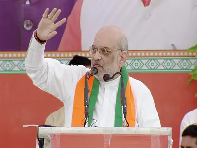  do whatever you have to do for appeasement but      amit shah rails against rahul  cong