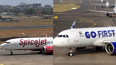 delhi  spicejet and busy bee submit bid for gofirst