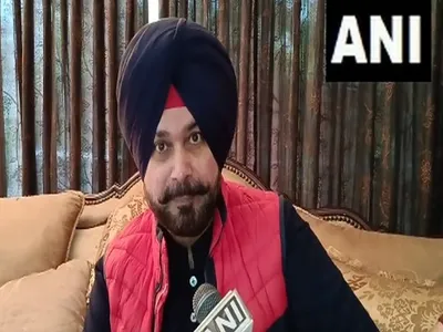 every player is in form  says navjot singh sidhu ahead of cwc 2023 final