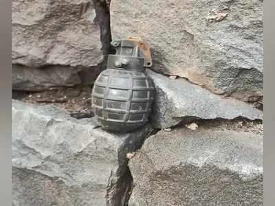 madhya pradesh  hand grenade spotted in field in indore  defused