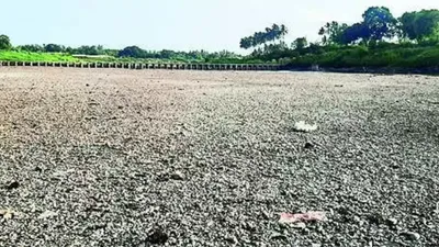 water crisis deepens in maharashtra s sangli ahead of ls polls 3rd phase