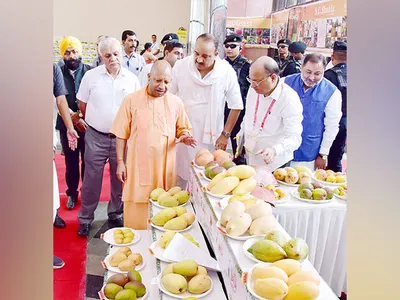 up mangoes market must be expanded globally  cm yogi