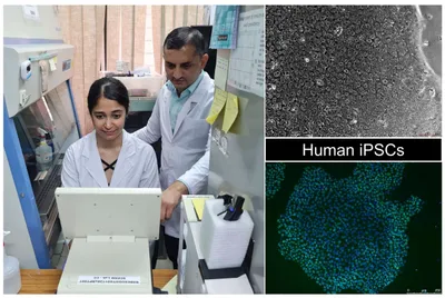 multi institutional team led by iit guwahati produces pluripotent stem cells from skin cells