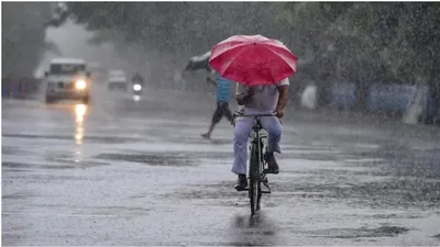 india likely to experience normal monsoon this year  skymet