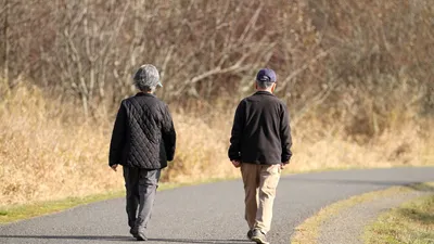 walking enhances brain connectivity and cognition in old people  study