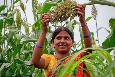 millet is gateway to prosperity of small farmers  says pm modi