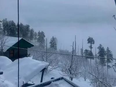 himachal pradesh  thick blanket of snow covers shimla