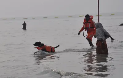 gangasagar mela  ndrf deploy dogs for rescue operations in water
