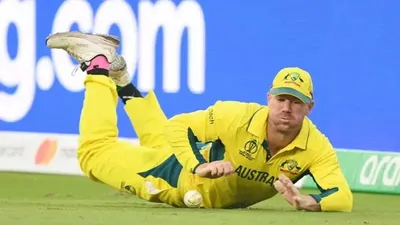 david warner to miss t20i series against india following world cup win