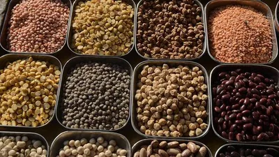 india s pulses import almost doubled in 2023 24  it may rise further this year