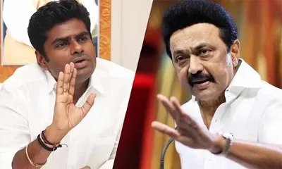  dmk is abode of corruption      bjp leader k annamalai hits out at cm stalin 