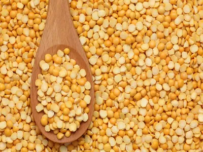 india extends duty free import of yellow peas by four months