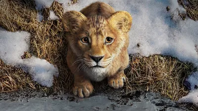  mufasa  the lion king  to  roar  in theatres on december 20  trailer out