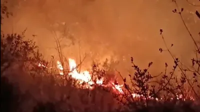 nainital forest fire  uttarakhand cm says army called in to extinguish blaze