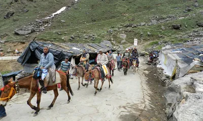 uttarakhand  horses  mules plying on char dham yatra route to get better facilities
