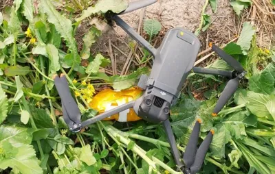 chinese drone  heroin recovered from field in punbaj s tarn taran